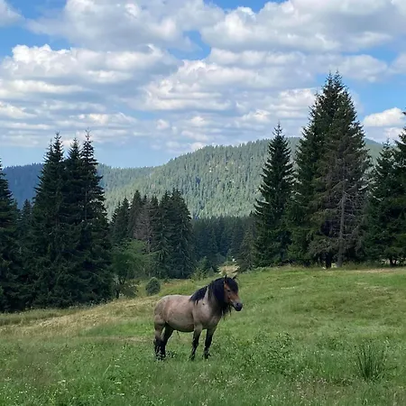 Grand Luxury Hotel 4*