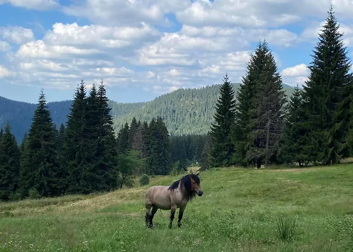 Grand Luxury Hotel 4*